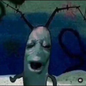 Meet your Posher, Payton